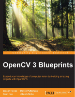 OpenCV_3_Blueprints.pdf